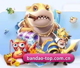 半岛综合的成长历程与未来展望